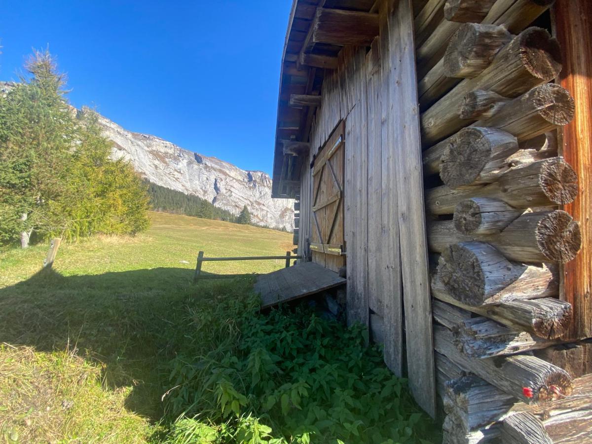 Flims Chalet Apartment Flims