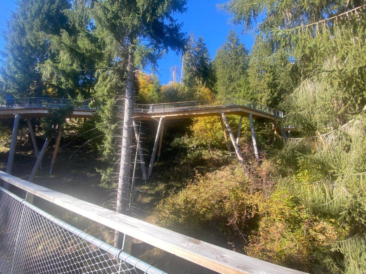 Apartment Flims Chalet