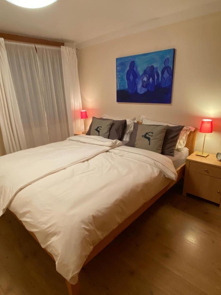 Flims Chalet
