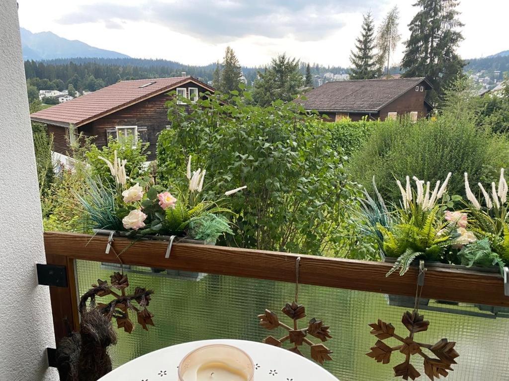 Flims Chalet Apartment